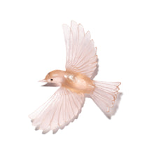 Load image into Gallery viewer, Mōhua / Yellowhead