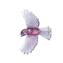 Load image into Gallery viewer, Mōhua / Yellowhead