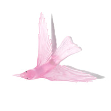 Load image into Gallery viewer, Korimako / Bellbird