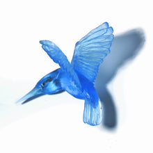 Load image into Gallery viewer, Kōtare / Kingfisher
