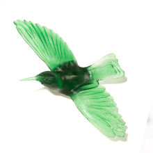 Load image into Gallery viewer, Tīeke / Saddleback