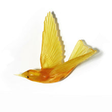 Load image into Gallery viewer, Korimako - wings back / Bellbird