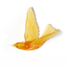 Load image into Gallery viewer, Korimako - wings back / Bellbird
