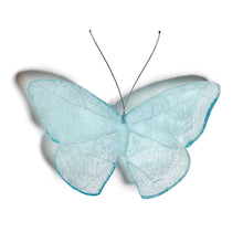 Load image into Gallery viewer, Kinetic Mount Butterfly - Red Admiral / Kahukura (small)