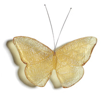 Load image into Gallery viewer, Kinetic Mount Butterfly - Red Admiral / Kahukura (small)