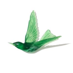 Korimako - wings back / Bellbird