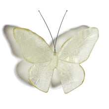 Load image into Gallery viewer, Kinetic Mount Butterfly - Monarch / Kakahu (large)