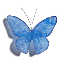 Load image into Gallery viewer, Kinetic Mount Butterfly - Monarch / Kakahu (large)