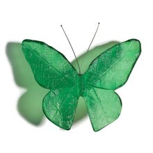 Load image into Gallery viewer, Kinetic Mount Butterfly - Monarch / Kakahu (large)