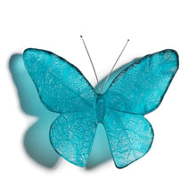 Load image into Gallery viewer, Kinetic Mount Butterfly - Monarch / Kakahu (large)