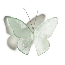 Load image into Gallery viewer, Kinetic Mount Butterfly - Monarch / Kakahu (large)