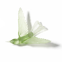 Load image into Gallery viewer, Korimako / Bellbird