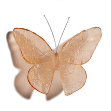 Load image into Gallery viewer, Kinetic Mount Butterfly - Monarch / Kakahu (large)