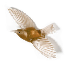 Load image into Gallery viewer, Tīeke / Saddleback