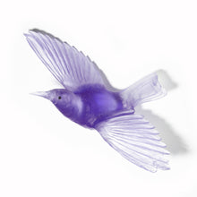 Load image into Gallery viewer, Tīeke / Saddleback