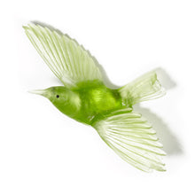 Load image into Gallery viewer, Pale Lime