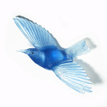 Load image into Gallery viewer, Tīeke / Saddleback