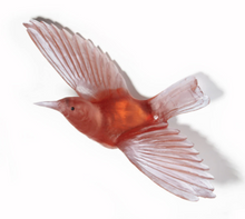 Load image into Gallery viewer, Tīeke / Saddleback