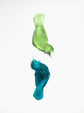 Load image into Gallery viewer, Tūī