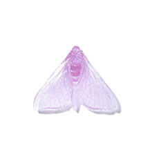 Load image into Gallery viewer, Pūriri Moth - Wings In

