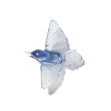 Load image into Gallery viewer, Miromiro / Tomtit
