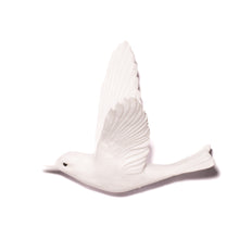 Load image into Gallery viewer, Pipiwharauroa / Shining Cuckoo

