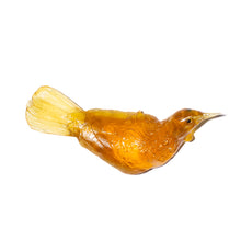 Load image into Gallery viewer, Tūī
