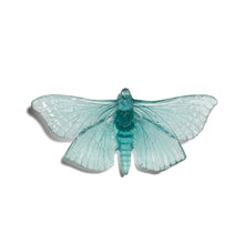 Load image into Gallery viewer, Pūriri Moth

