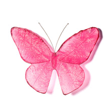 Load image into Gallery viewer, Kinetic Mount Butterfly - Monarch / Kakahu (large)
