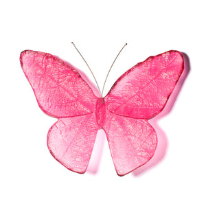 Kinetic Mount Butterfly - Monarch / Kakahu (large)