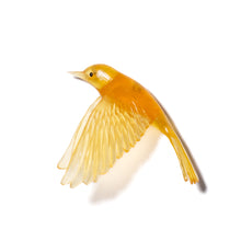 Load image into Gallery viewer, Pōpokotea / Whitehead
