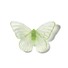 Load image into Gallery viewer, Classic Mount Butterfly - Monarch
