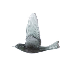 Load image into Gallery viewer, Pipiwharauroa / Shining Cuckoo
