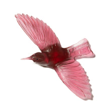 Load image into Gallery viewer, Tīeke / Saddleback
