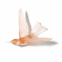 Load image into Gallery viewer, Korimako - wings back / Bellbird

