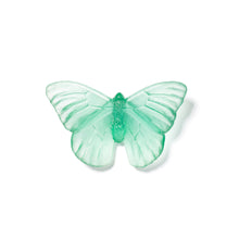 Load image into Gallery viewer, Classic Mount Butterfly - Admiral

