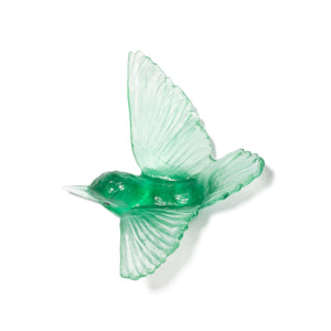 Miromiro / Tomtit