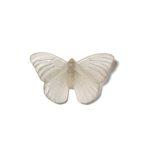 Classic Mount Butterfly - Admiral
