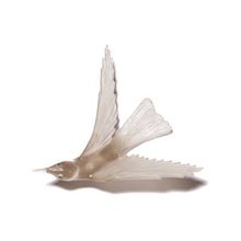 Load image into Gallery viewer, Korimako - wings back / Bellbird

