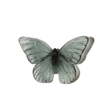 Load image into Gallery viewer, Classic Mount Butterfly - Monarch
