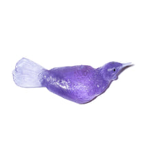 Load image into Gallery viewer, Tūī
