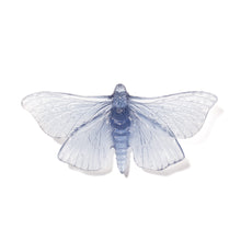 Load image into Gallery viewer, Pūriri Moth
