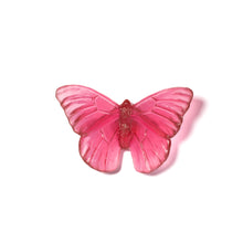Load image into Gallery viewer, Classic Mount Butterfly - Admiral
