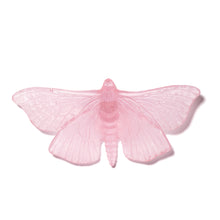 Load image into Gallery viewer, Pūriri Moth
