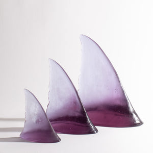 Shark fin set