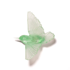Miromiro / Tomtit