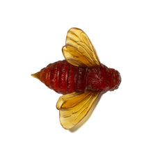 Load image into Gallery viewer, Bee - Wings In
