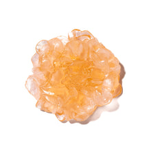 Load image into Gallery viewer, Camellia
