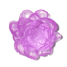 Load image into Gallery viewer, Peony
