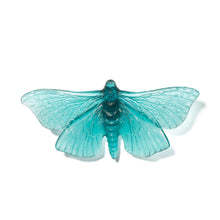 Load image into Gallery viewer, Pūriri Moth
